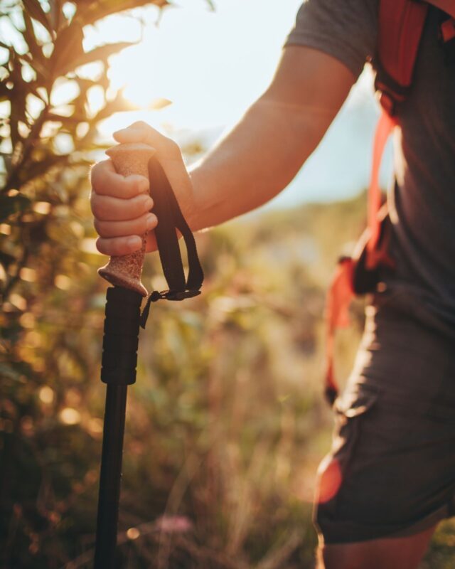 Nordic Pole Walk