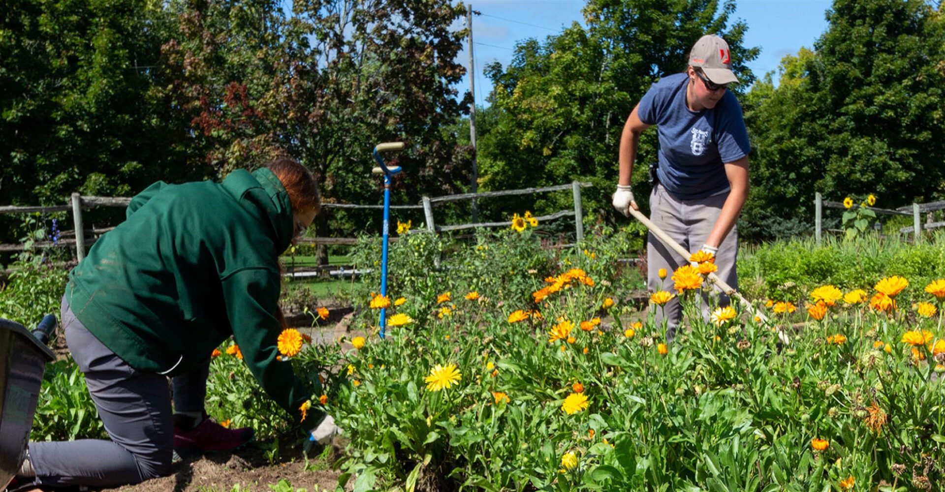 Pro Tips From Our Ste. Anne’s Gardeners For Spring