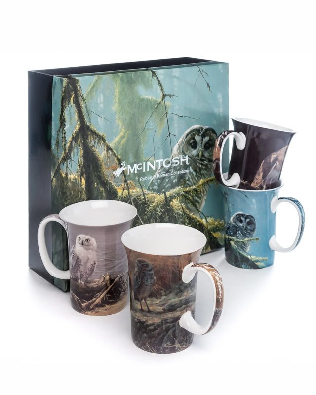 McIntosh: Bateman Owls Set of 4 Mugs