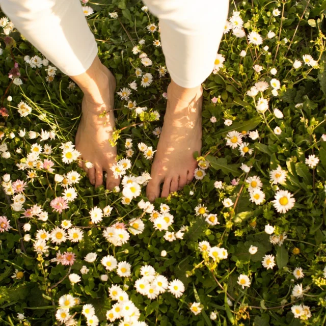 Our nourishing foot cream is infused with refreshing rosemary and peppermint making it the perfect way to hydrate and invigorate your feet during these sunny days. Make it a part of your daily ritual  #summerfeet #footcare #steannesskinnourishment