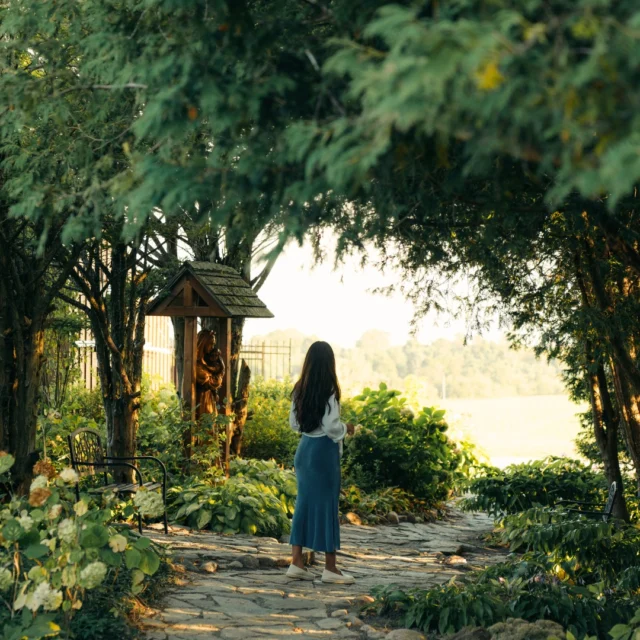 A quiet walk bathed in morning lightautumn serenity at its finest.Photo credit: @basil.h